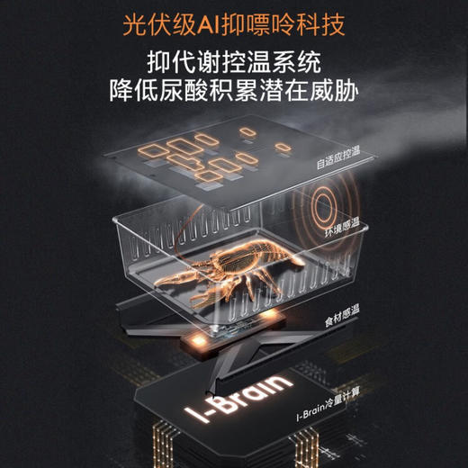 COLMO冰箱557升 法式四门 变频智能 高端冰箱 超薄全嵌无缝 AI主动营养科技 光伏级抑嘌呤 熔幔岩 CRBF557M-A5 商品图2