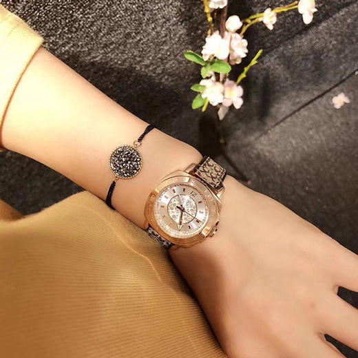 现货速发！【送镶钻玫瑰金手镯】COACH蔻驰 人造水晶系列女款手表 商品图7