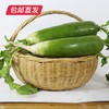 天津沙窝青萝卜 5±0.2斤装【包邮直发】 商品缩略图4