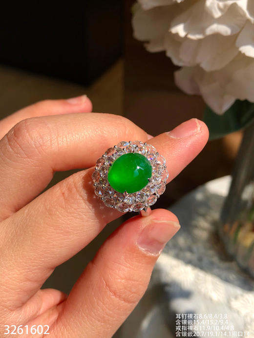 玻璃艳绿蛋面套装【3261602】具体价格微信咨询 商品图3