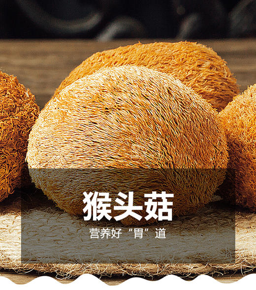 陇南猴头菇 养胃食材 手工采摘 精心除杂 天然晾晒 零添加 商品图3
