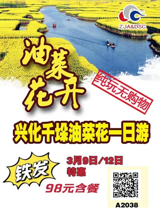 兴化千垛水上油菜花、泰州老街一日游 商品图0