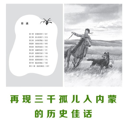 希吉尔和他的朋友们 商品图1