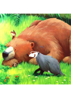 贝尔熊的新朋友