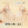 雅黛丽内衣女小胸聚拢收副乳防下垂文胸无钢圈性感美背调整型胸罩 商品缩略图0