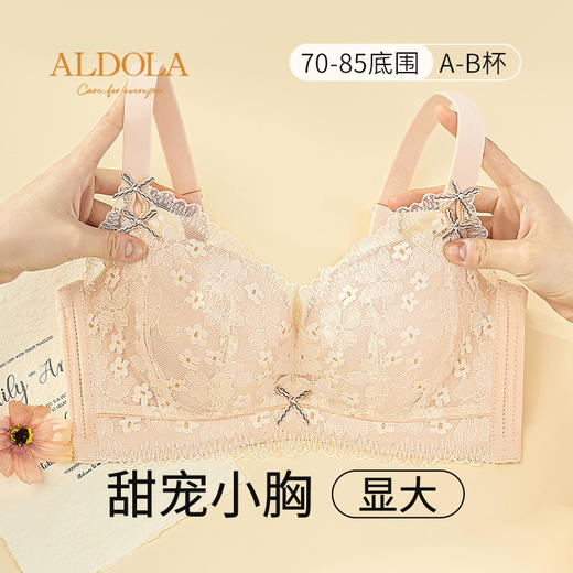 雅黛丽内衣女小胸聚拢收副乳防下垂文胸无钢圈性感美背调整型胸罩 商品图0