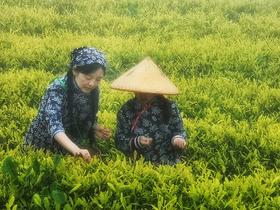 亲子套餐（>=30人）