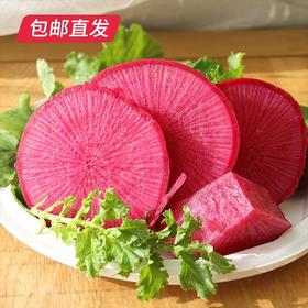 天津沙窝紫萝卜 5±0.2斤装【包邮直发】