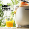 大宇电动橙汁机家用榨汁机全自动原汁炸果汁机水果压榨器汁渣分离OG01 商品缩略图2