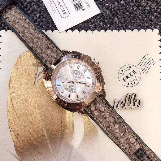 现货速发！【送镶钻玫瑰金手镯】COACH蔻驰 人造水晶系列女款手表 商品图4