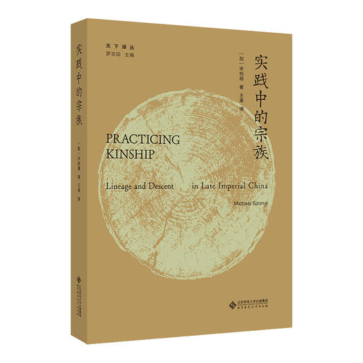 实践中的宗族  9787303239559    北京师范大学出版社 商品图0