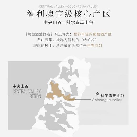 【杨丽萍联名款】天鹅庄·孔雀绽放40 智利原瓶进口 14%vol 商品图5