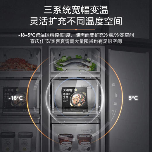 COLMO 冰箱533升十字对开门高端冰箱 变频智能 超薄全嵌无缝 AI主动营养科技 光伏级抑嘌呤 熔幔岩 CRBS533M-A5 商品图3