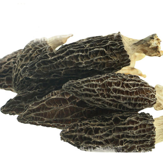 云南迪庆香格里拉高原特产羊肚菌干货礼盒，100g/盒 商品图3