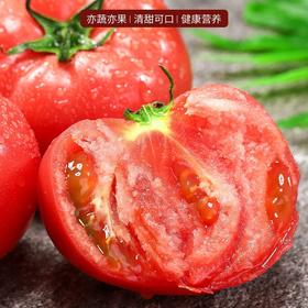 新疆普罗旺斯沙瓤西红柿 顺丰发货