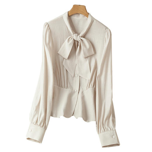 春装新款，长袖蝴蝶结通勤时尚女士衬衣DB-2726 商品图4