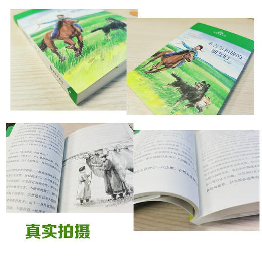 希吉尔和他的朋友们 商品图2