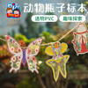 透明PVC动物瓶子标本手工diy挂件儿童艺术绘画装饰环创幼儿园材料 商品缩略图2