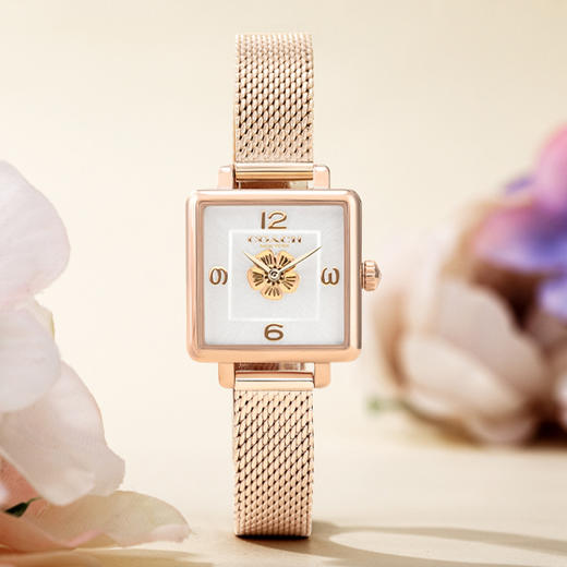现货速发！【送镶钻玫瑰金手镯】COACH蔻驰 人造水晶系列女款手表 商品图1