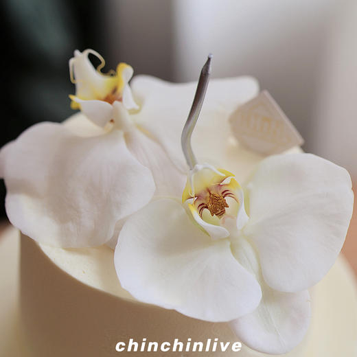 蝴蝶兰双层蛋糕 商品图2