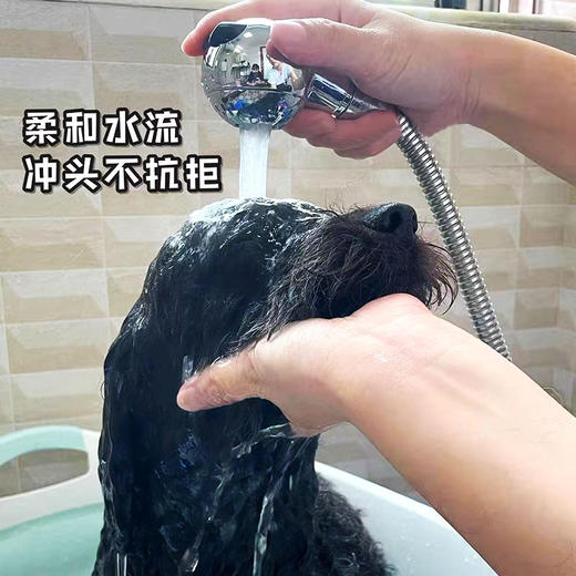 宠物洗浴套装 韩国RK宠物专用喷头+宠物洗澡刷 商品图2