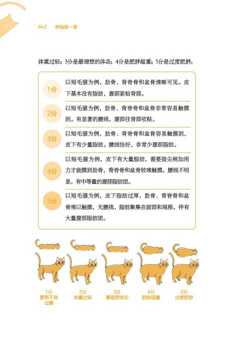 养猫第一课 商品图5