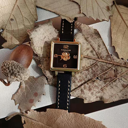 现货速发！【送镶钻玫瑰金手镯】COACH蔻驰 人造水晶系列女款手表 商品图2