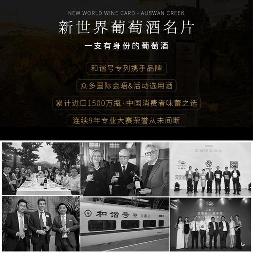 【杨丽萍联名款】天鹅庄·孔雀绽放40 智利原瓶进口 14%vol 商品图2