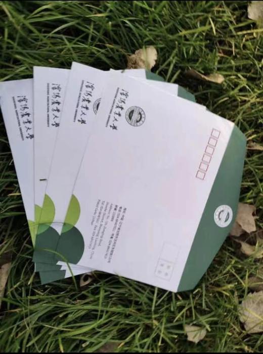 沈农信封（校徽系列）信封 国槐绿信封 商品图0