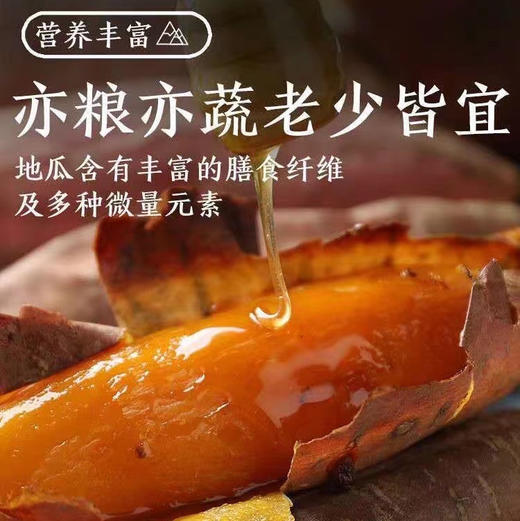 唐山核心产区烟薯25号，种植环境优异，糖油度较高，货真价实的体验！约5斤/袋 商品图1