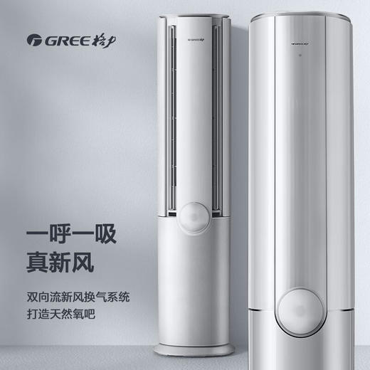 GREE 格力 臻新风 2匹/3匹 新国标 变频1级能效  柜机 商品图2