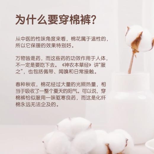 棉小伙【糯米版、经典版棉裤】【九九姜芯片】天然棉花保暖裤  男女款可选 高腰护腰 可机洗可外穿  不臃肿   柔软舒适 商品图2