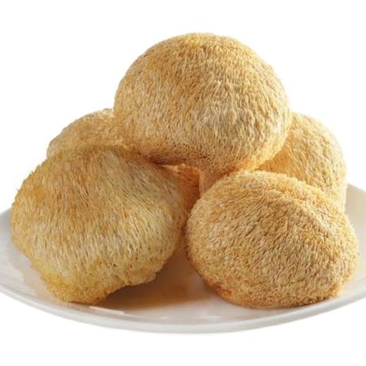 陇南猴头菇 养胃食材 手工采摘 精心除杂 天然晾晒 零添加 商品图1