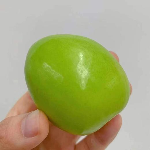 牛奶枣 【大号】盒 商品图0