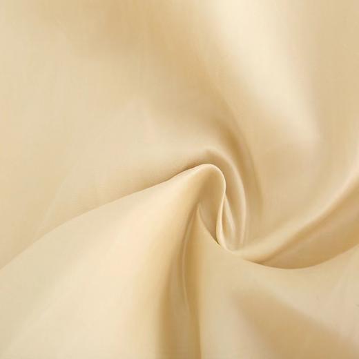 Ruohan 香槟金ARTE吊带长裙 商品图8