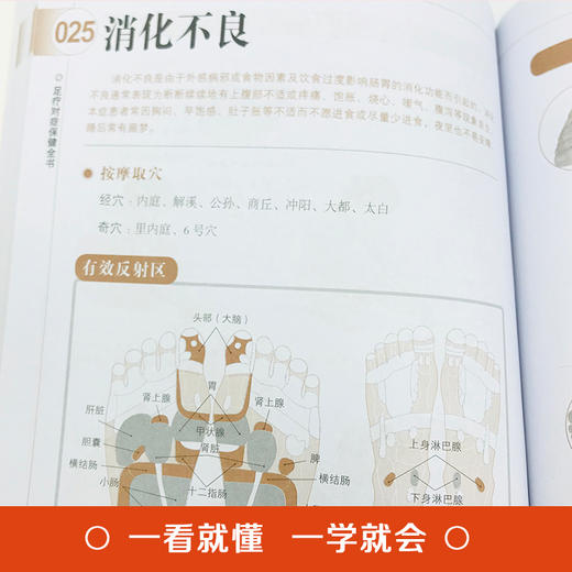 【9.9元包邮】足疗对症保健全书 足疗按摩书足疗保健一学就会防病祛病一用就灵足部穴位速效疗法脚底按摩对症养生常见脚病修脚疗法书籍 商品图3