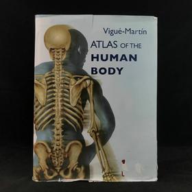人体解剖图鉴 数百幅彩色插图 精装大16开