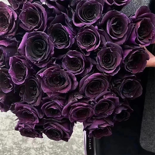 厄瓜多尔进口染色PLUM AMETHYST李子玫瑰10支 商品图3