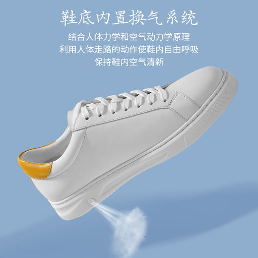 【同款】会休闲呼吸老罗同款小白鞋PX2202 商品图1
