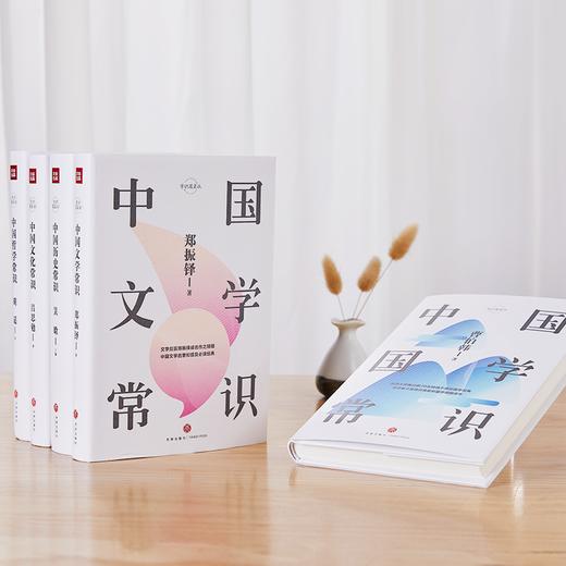 《中国文化常识丛书》全5册 ，让知识成为常识，让涵养成为家学，安然自若，眼界卓然 商品图1