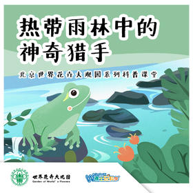 【北京】热带雨林中的神奇猎手-两栖-花卉大观园