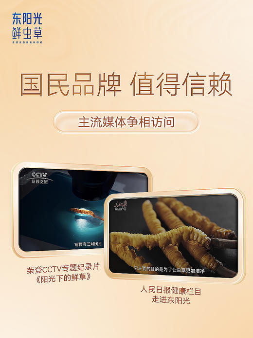 东阳光冬虫夏草 冻干鲜虫草单根装 2.7倍营养【免洗高洁净】 商品图5