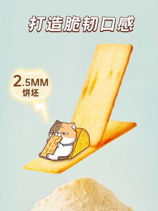 【宅猫日记】岩烧芝士脆饼干提拉米苏黑金九蔬薄脆咸甜味爆款休闲零食 商品图2
