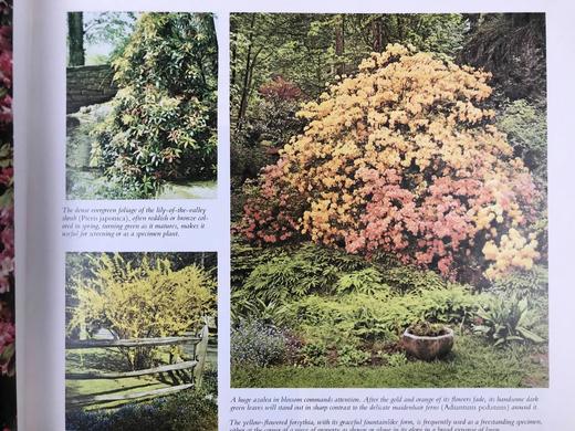 园艺图解指南 数百幅插图 精装16开 商品图12