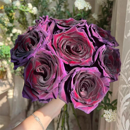 厄瓜多尔进口染色PLUM AMETHYST李子玫瑰10支 商品图2