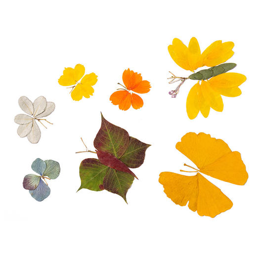 树叶手工贴画DIY材料包套装 小学生儿童创意植物标本画 商品图3