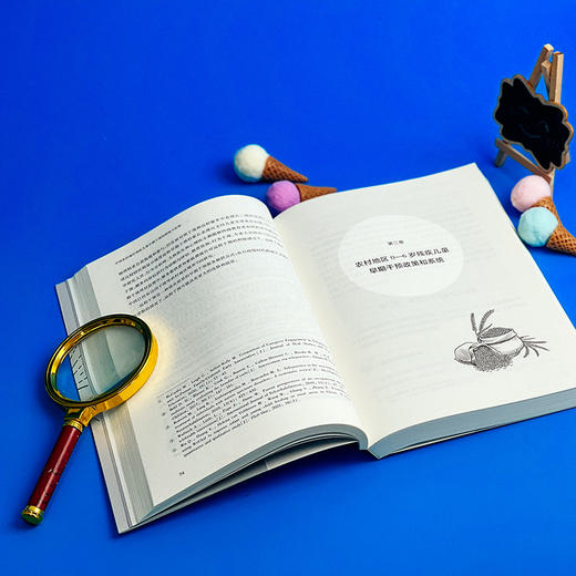 中国农村地区残疾儿童早期干预的困境与发展 早期干预联结系统建构的初步探索 商品图5