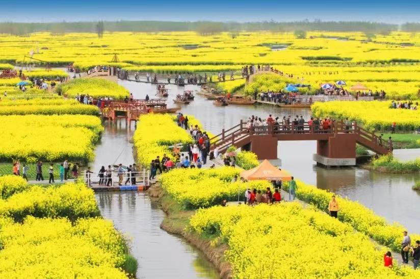 兴化千垛水上油菜花、泰州老街一日游