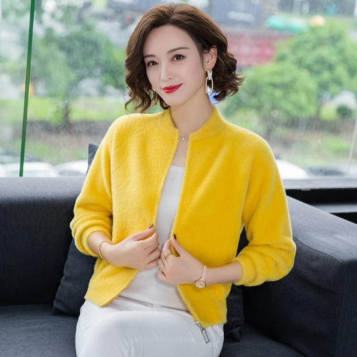 仿水貂绒外套，加厚拉链针织毛衣外套XX-001 商品图1