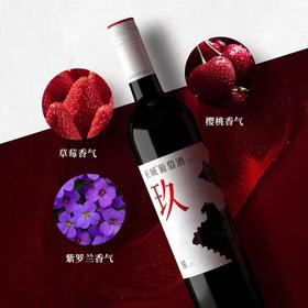 长城玖干红葡萄酒750Ml